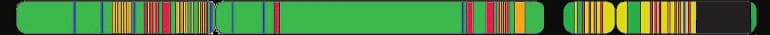 Long narrow stripe with colorful long X and short Y chromosomes.